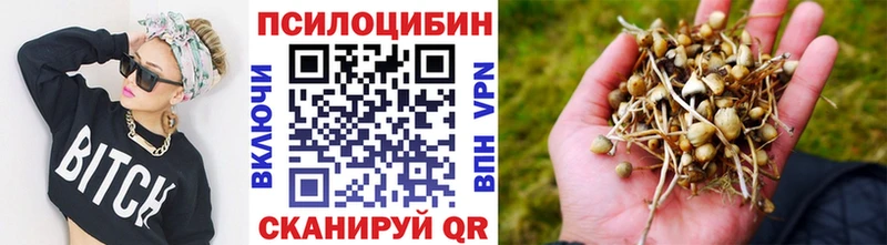 купить наркотики сайты  Краснообск  кракен   Псилоцибиновые грибы ЛСД 